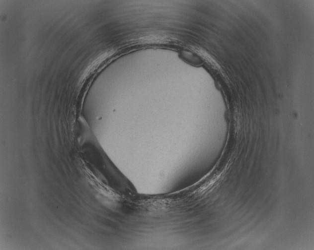 X0000067890930200605041548