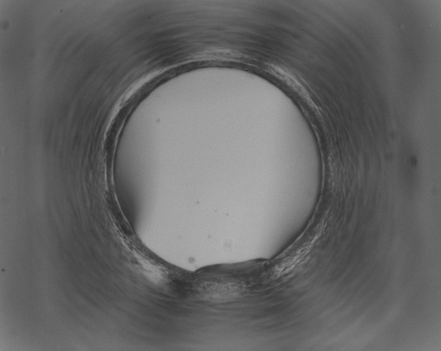 X0000067890931200605041549