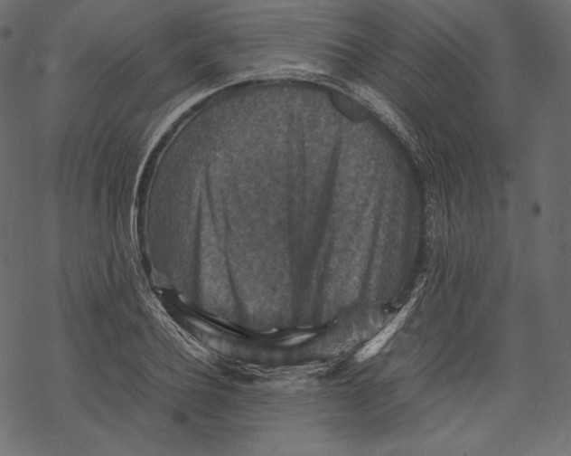 X0000067890932200605041549