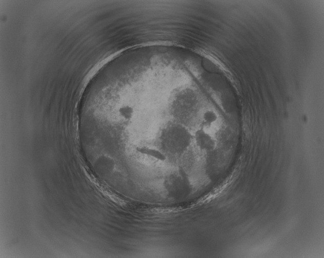 X0000067890933200605041549