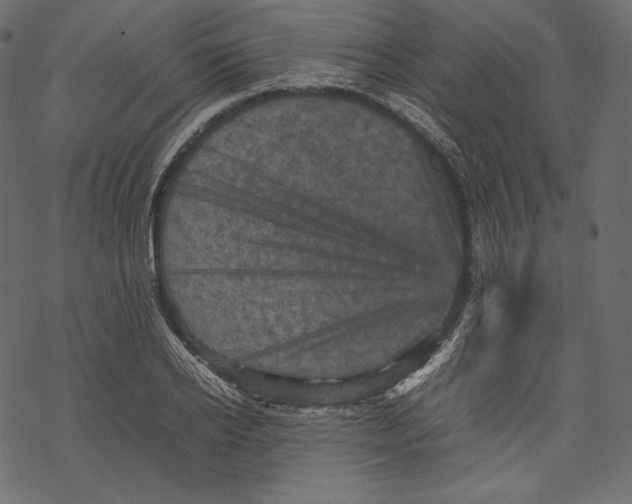 X0000067890934200605041549