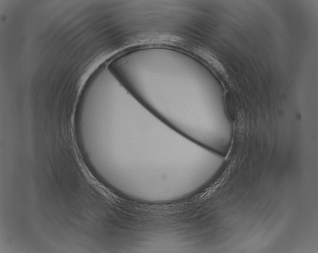 X0000067890936200605041549