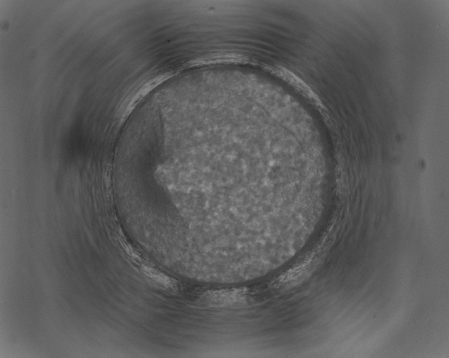 X0000067890937200605041549