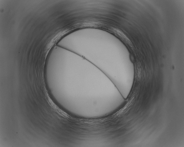 X0000067890938200605041549