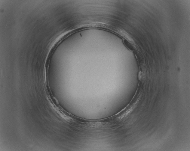 X0000067890940200605041549