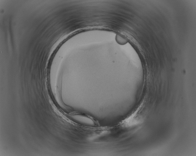 X0000067890941200605041549