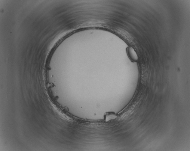 X0000067890942200605041549