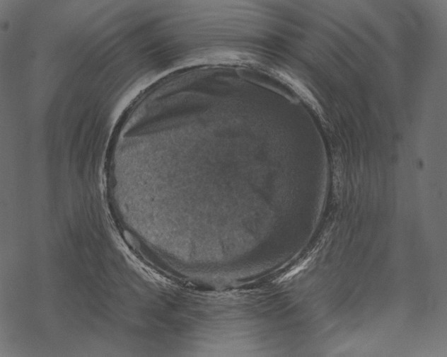 X0000067890944200605041549