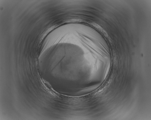 X0000067890945200605041549