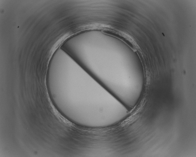 X0000067890946200605041549