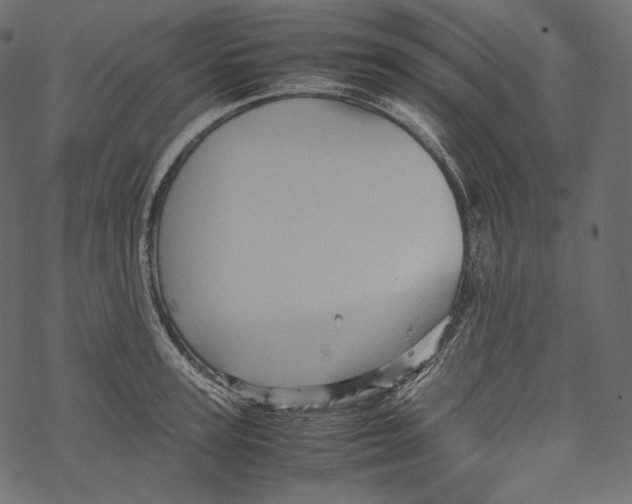 X0000067890947200605041549