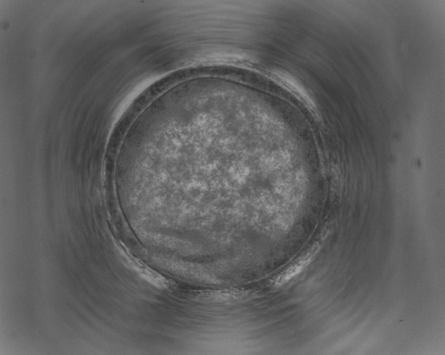 X0000067890948200605041549