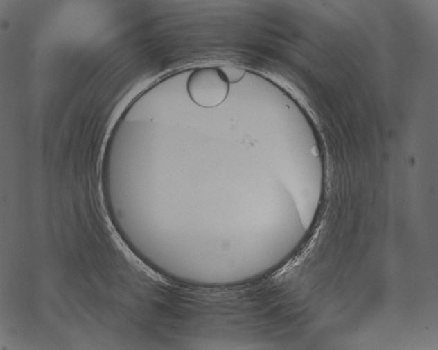 X0000067890949200605041549