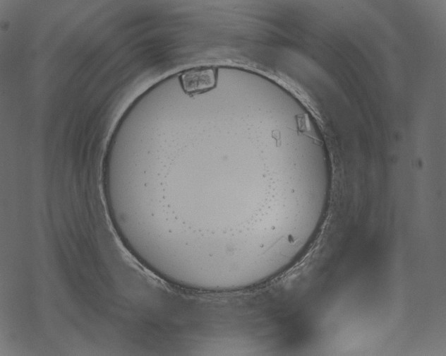 X0000067890950200605041549