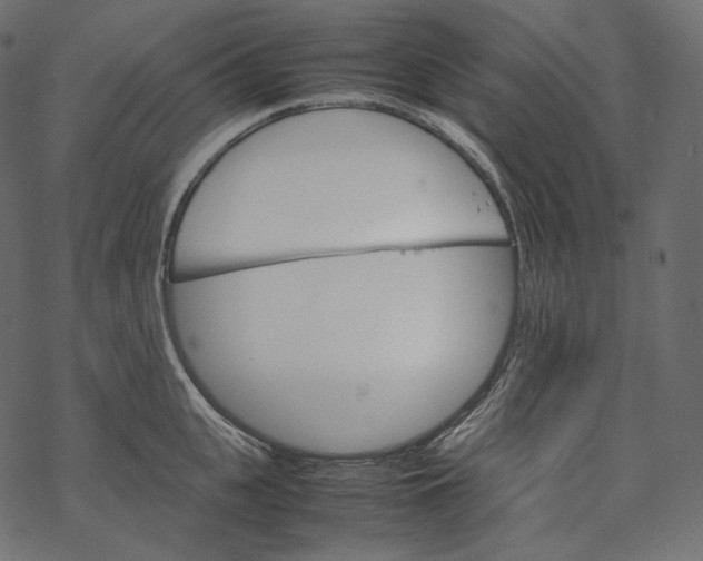 X0000067890951200605041549