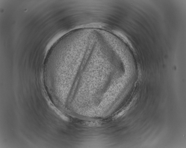 X0000067890952200605041549