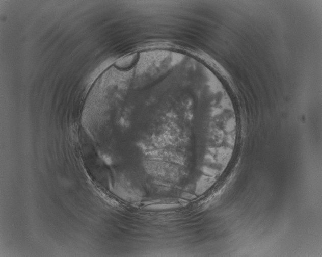 X0000067890953200605041549