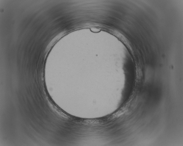 X0000067890954200605041549