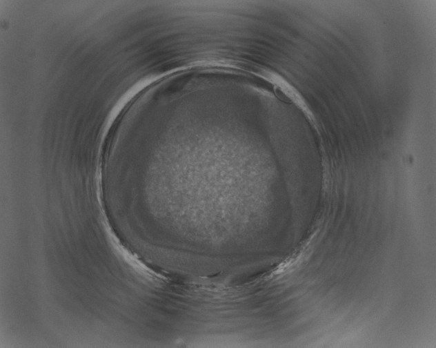 X0000067890955200605041549