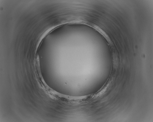 X0000067890956200605041549