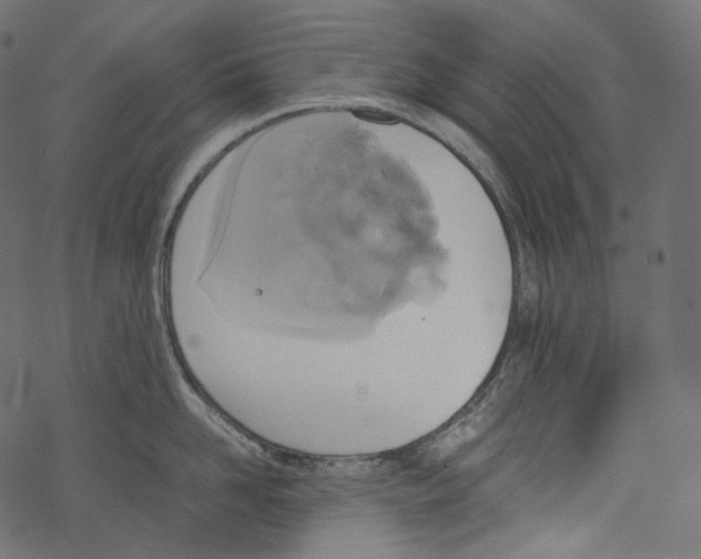 X0000067890958200605041549