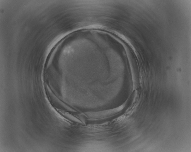 X0000067890959200605041549