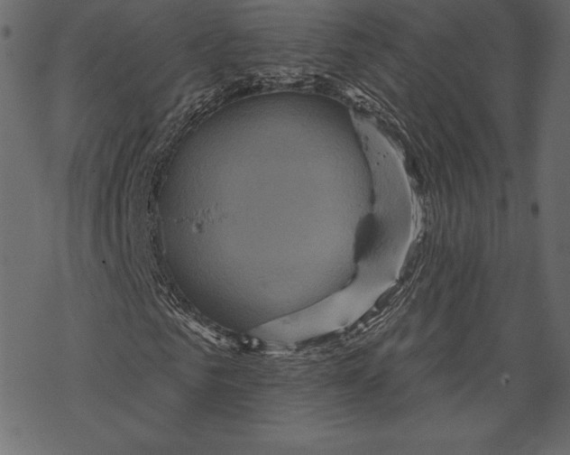 X0000067890961200605041548