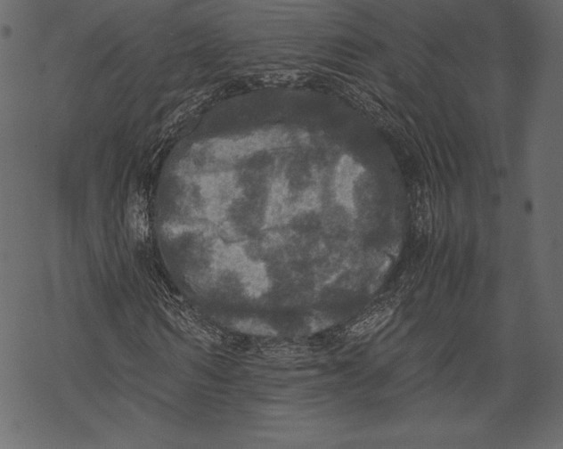 X0000067890962200605041548