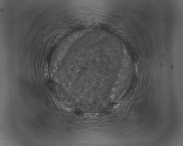 X0000067890963200605041548