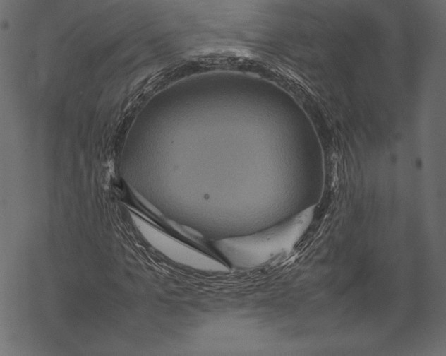 X0000067890965200605041548