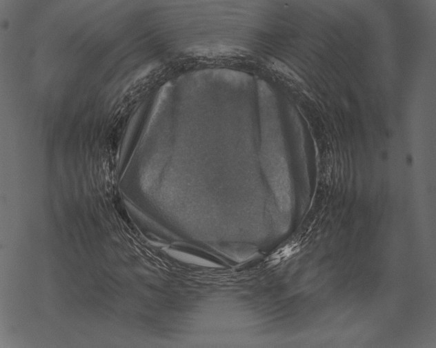 X0000067890966200605041548