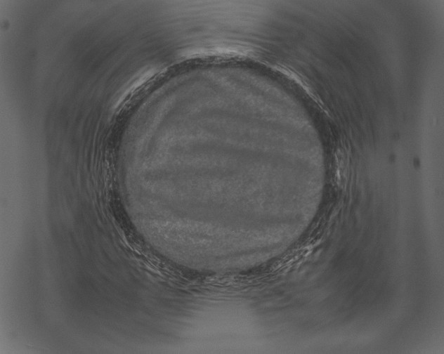 X0000067890967200605041548