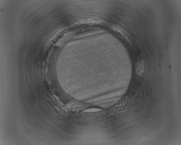 X0000067890968200605041548