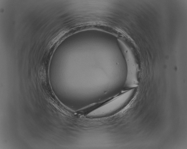 X0000067890969200605041548