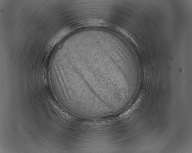 X0000067890970200605041548