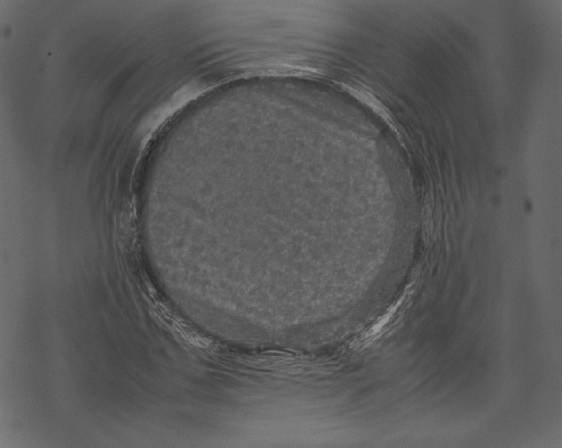 X0000067890971200605041548