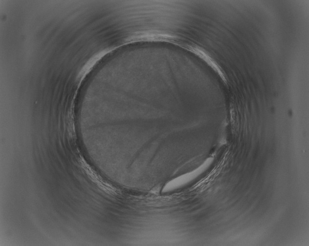 X0000067890972200605041548