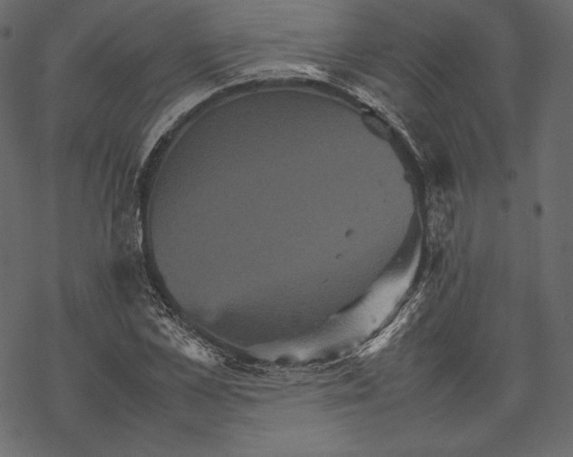 X0000067890973200605041548