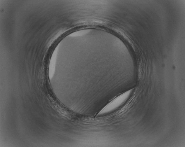 X0000067890975200605041548