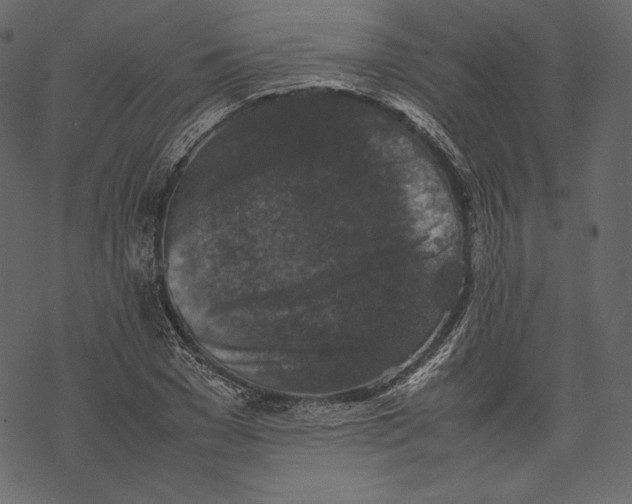 X0000067890977200605041548