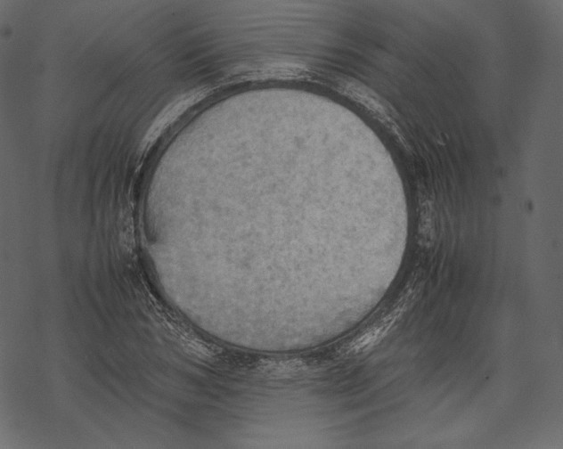 X0000067890978200605041548