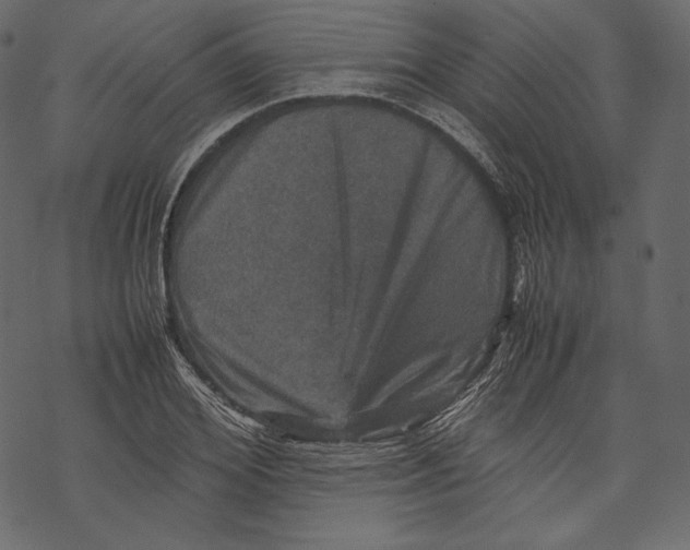 X0000067890980200605041548