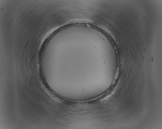 X0000067890981200605041548