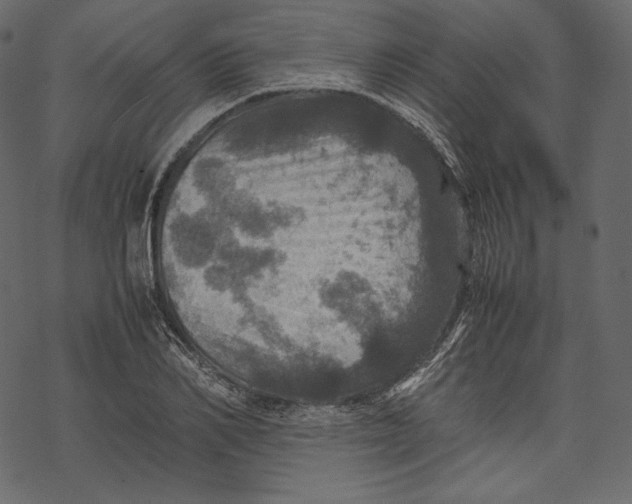 X0000067890982200605041548