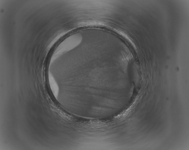 X0000067890983200605041548