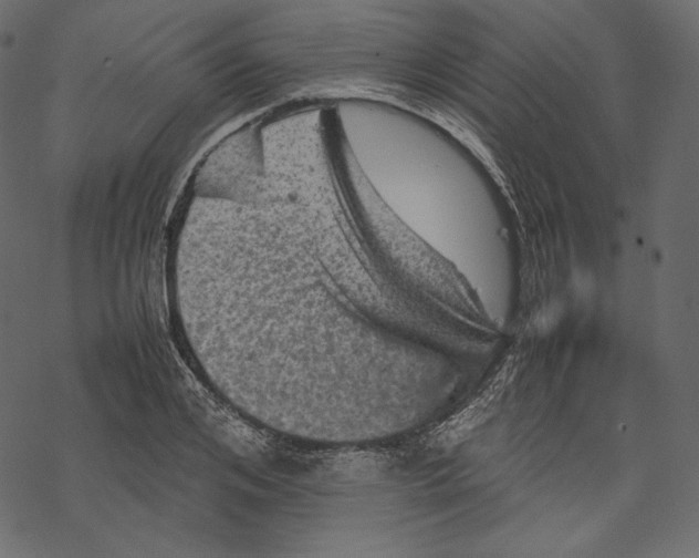 X0000067890984200605041548