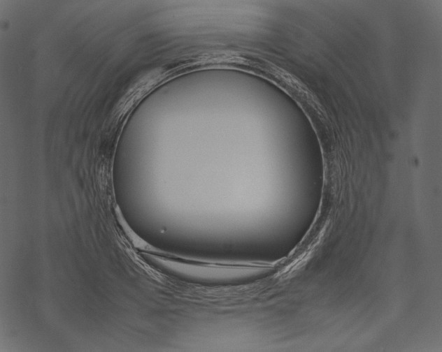 X0000067890985200605041548