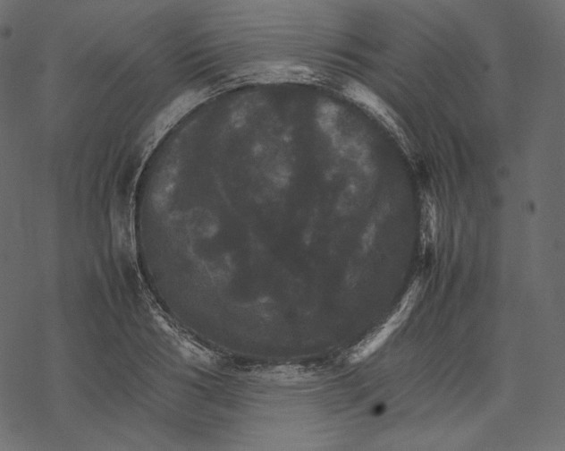 X0000067890986200605041548