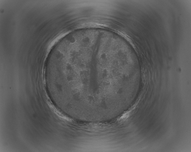 X0000067890987200605041548