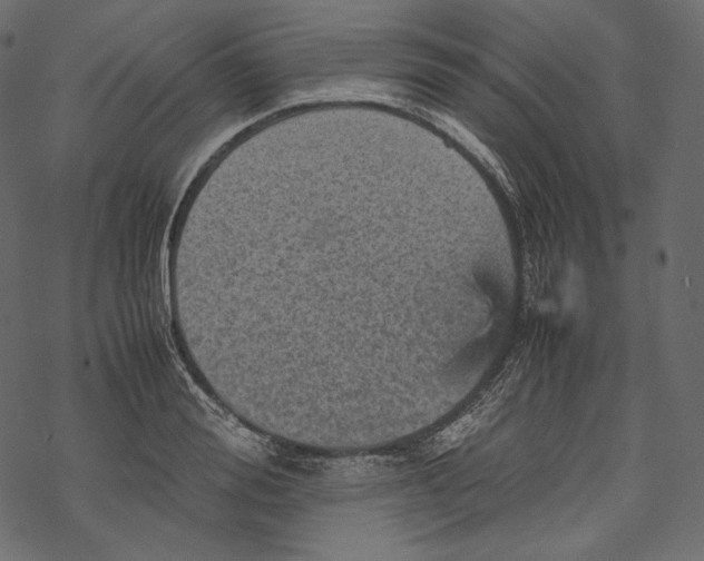 X0000067890988200605041548